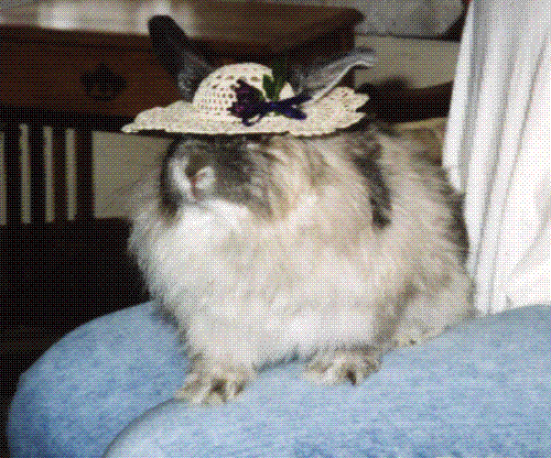 sam007.gif (58466 bytes)