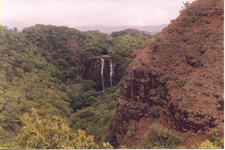kauai3.jpg (89984 bytes)