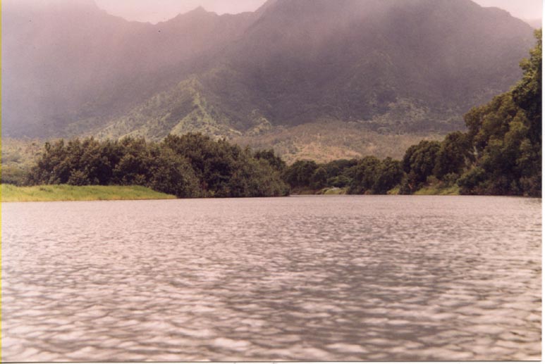 kauai4.jpg (67609 bytes)