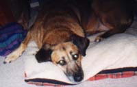 Chloe