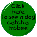 Click here to see a dog catch a frisbee