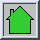 home button