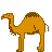 camel