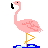 flamingo