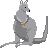 kangaroo from Australia