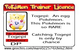 license_dp.jpg