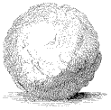 boulder.gif (3285 bytes)