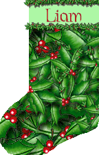 Liam's Stocking