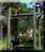 ZOO