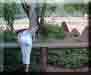ZOO