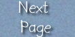 next page