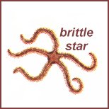 brittle