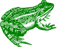 Secret of the Jumping Dragon