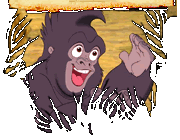 Terk