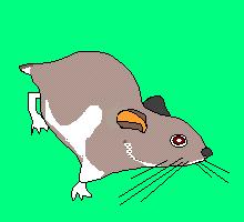 Click Me to visit the Nook! Come see our cute Hamsters!