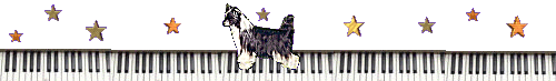 Encore Chinese Crested