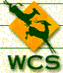 WCS Link