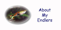 Go to the about my endlers page