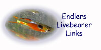 You are on the Endlers Livebearer Links page