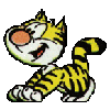 playingTiger