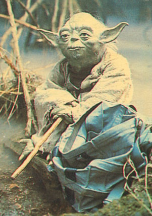 Yoda