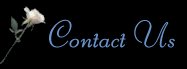 Contact Information