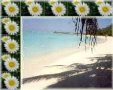 September Morn
