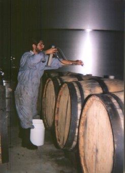 yumbel 2001