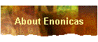 About Enonicas