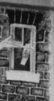 The window