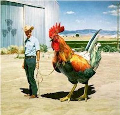 Funny Pics
