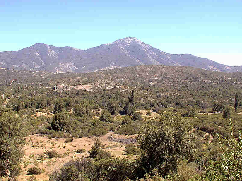caleu2.jpg (57763 bytes)
