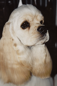 Adelle-candid-2.gif (44911 bytes)