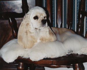 Adelle-candid.gif (55214 bytes)