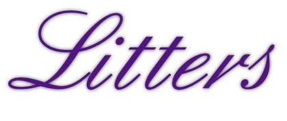 littertop.jpg (17186 bytes)