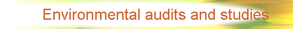 &nbsp;&nbsp;&nbsp; Environmental audits and studies