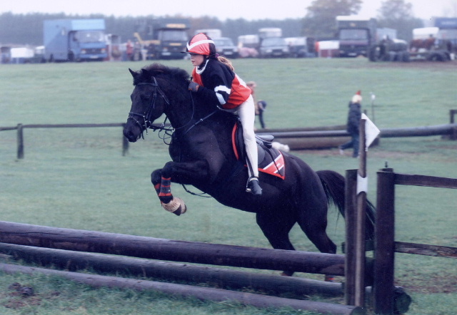 © holme trakehners