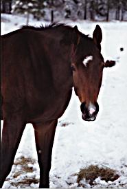 © Rosevale Farm
