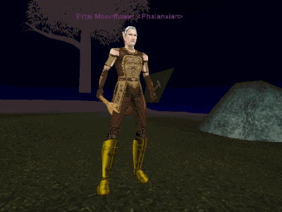 Ertai006.jpg