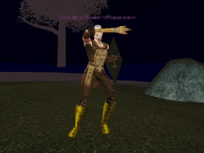 Ertai009.jpg