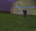 gif_icesleeper002.gif