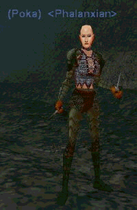 gif_poka08.gif