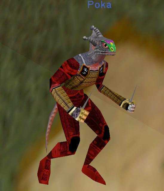 poka043.jpg