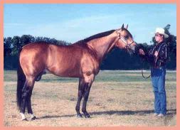 buckhalter.jpg (11993 bytes)