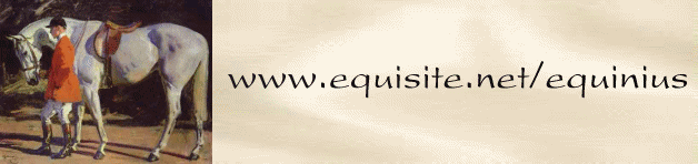 talk to Equinius