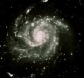 m101