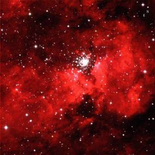 NGC 3603