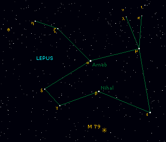 lepus