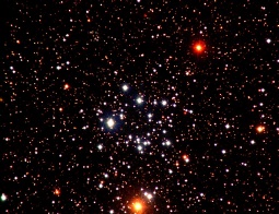 m 50