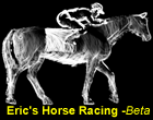 To Eric's Java Horse Racing Simulator